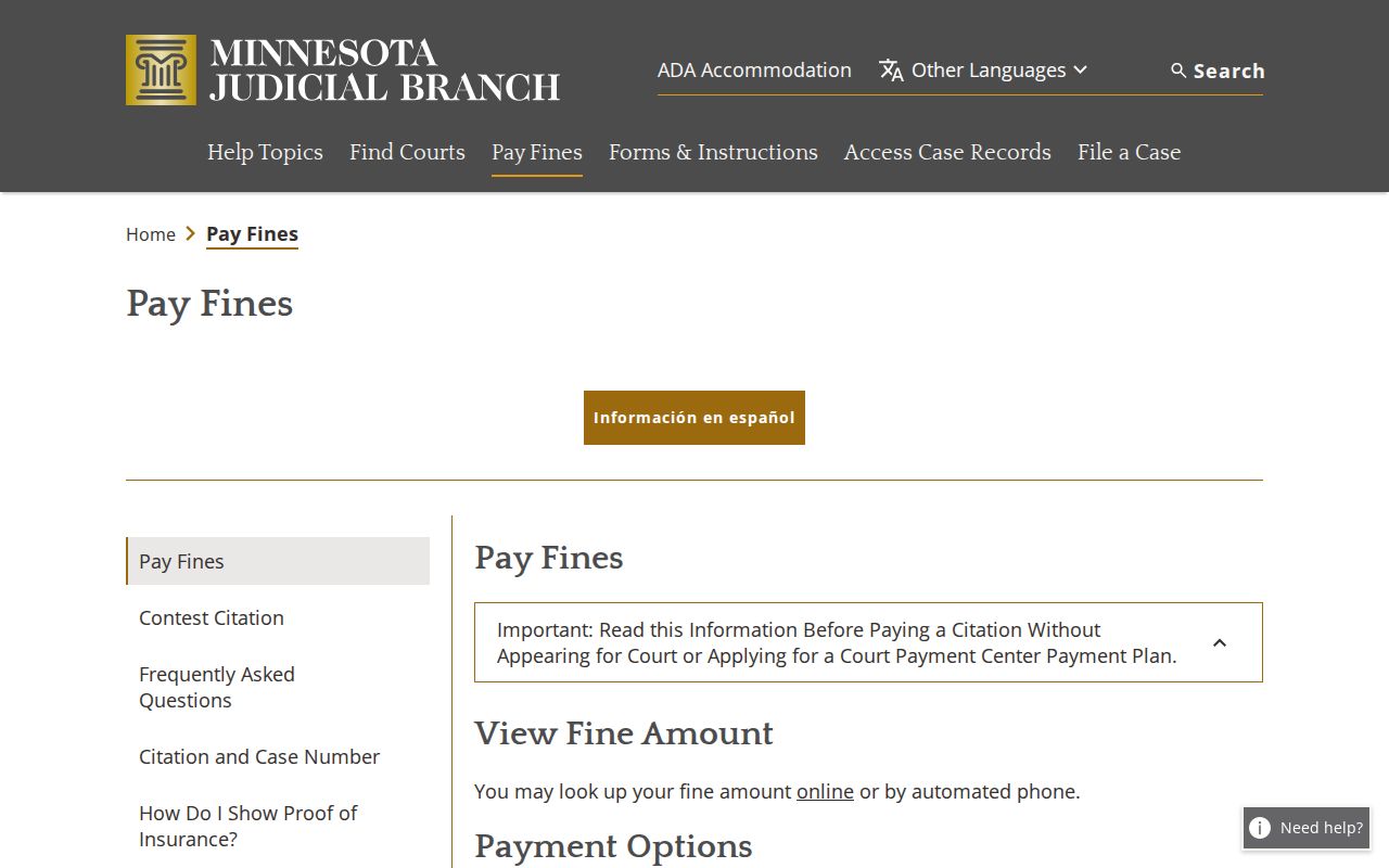 Pope County traffic ticket official payment page